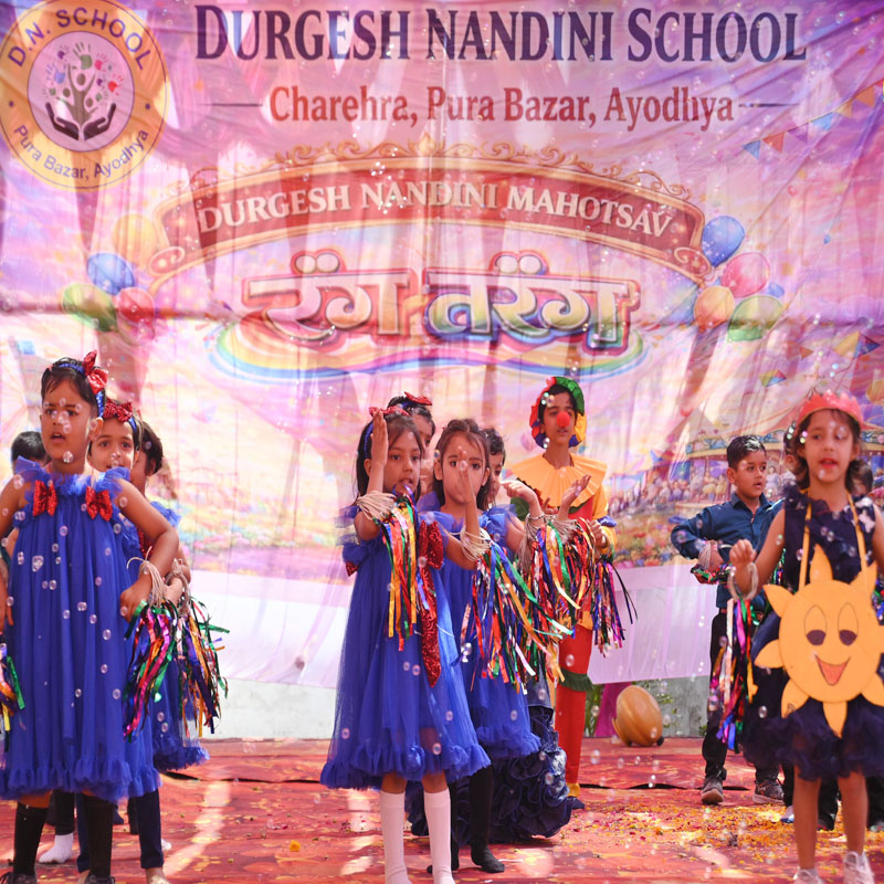 DN School